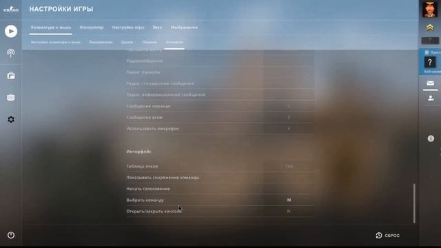 Покажу/Как включить консоль/И как найти свой код в Cs:Go/ смотреть онлайн