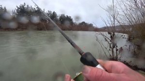 Форель рыбалка на черном море