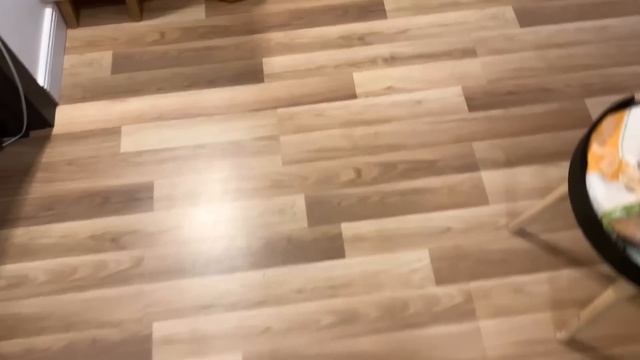 Skibidi Duolingo смотреть онлайн