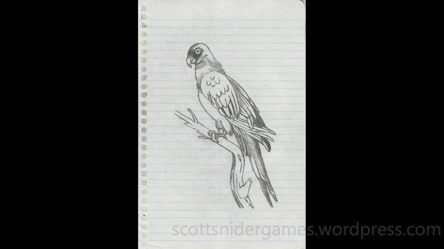 Macaw Parrot Pencil Sketch Video #1 (03-18-2023) смотреть онлайн