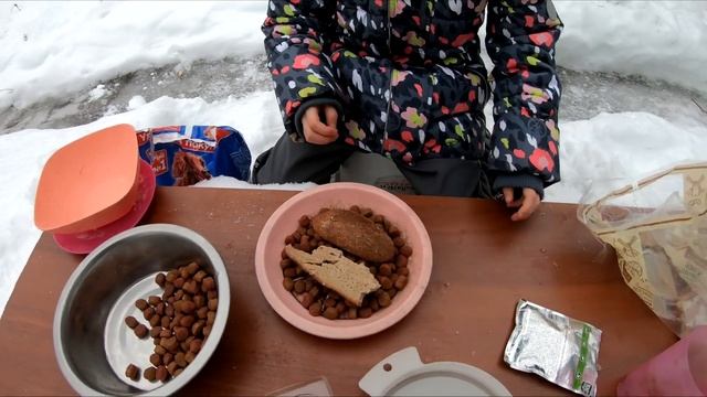 Я создала лучшее блюдо для собак и котят!? ШОК! смотреть онлайн