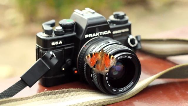 Praktica BCA electronic & "Paon du jour") смотреть онлайн