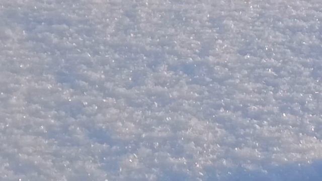 Плотва - Зимняя рыбалка Онежское озеро, январе 2019 года, итоги ловли, собираемся домой смотреть онлайн