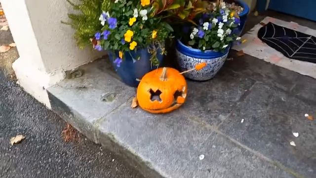 Halloween , Ireland, 2022