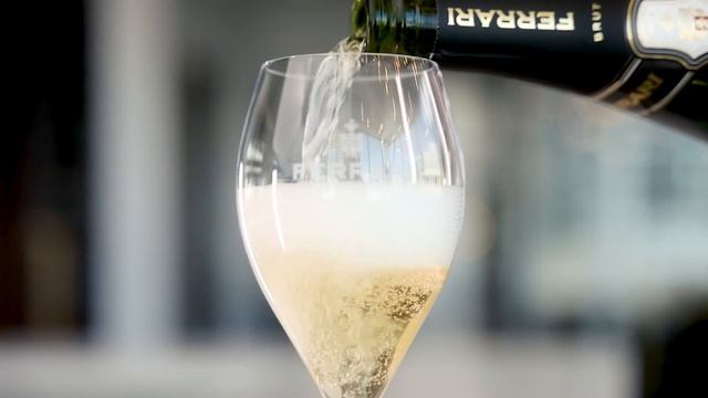 Dandurand présente : Ferrari Brut Trento DOC смотреть онлайн