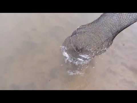 Фидер ранней весной / Река Ока/ Фидер 2019 смотреть онлайн