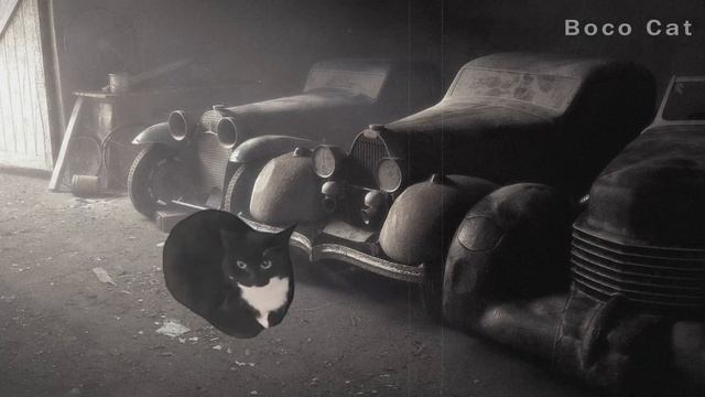 Maxwell the Cat Dance in Different years All Version 4 смотреть онлайн