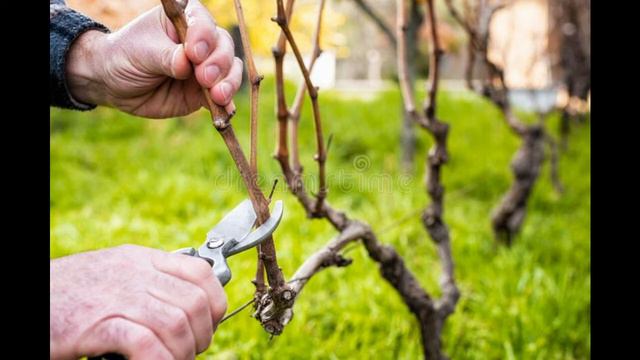 Woordloos of nie? Beau De Klerk смотреть онлайн