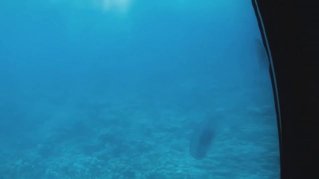 ЕГИПЕТ. Хургада через Каир
EGYPT. Hurghada. смотреть онлайн