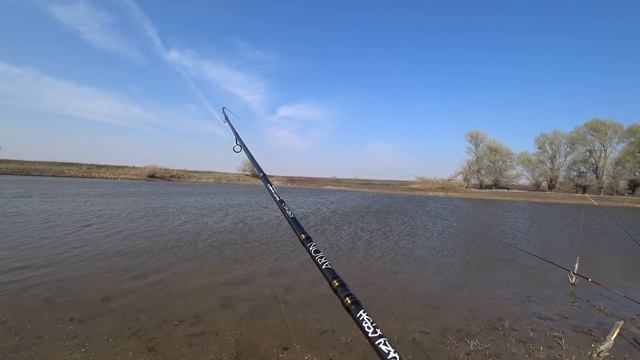 Лужа кишит рыбой ! Ловили карася, а пришёл САЗАН ! Удачная рыбалка ! смотреть онлайн