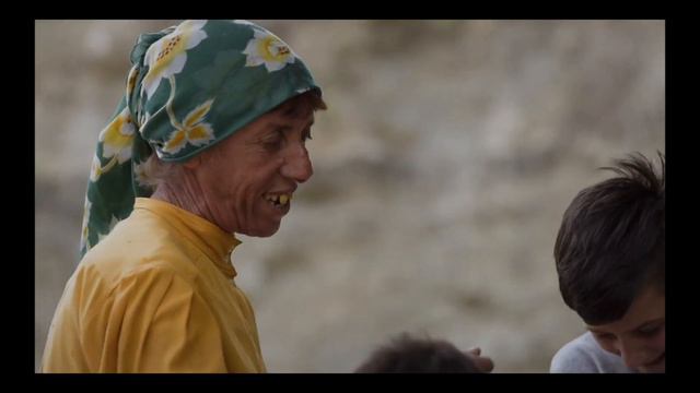 Honeyland Analysis TFM 540