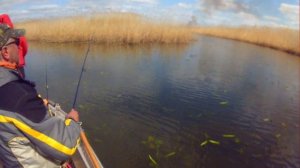 Воблер Pontoon21 Bet-A-Shad 63F - ловля щуки