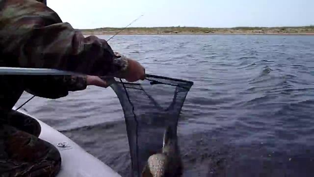 Рыбалка на озере Байкал.Щуки атакуют.Щука на Blue Fox №6 смотреть онлайн