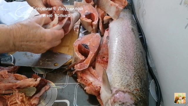 Waterfall Wonderlands