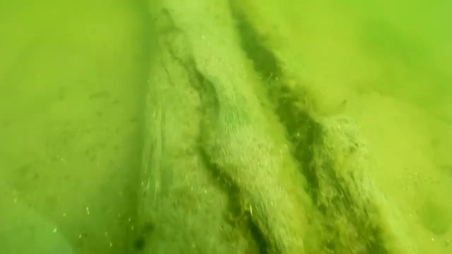 Техническая съемка подводного объекта "Выборгский когг" (часть 1) смотреть онлайн