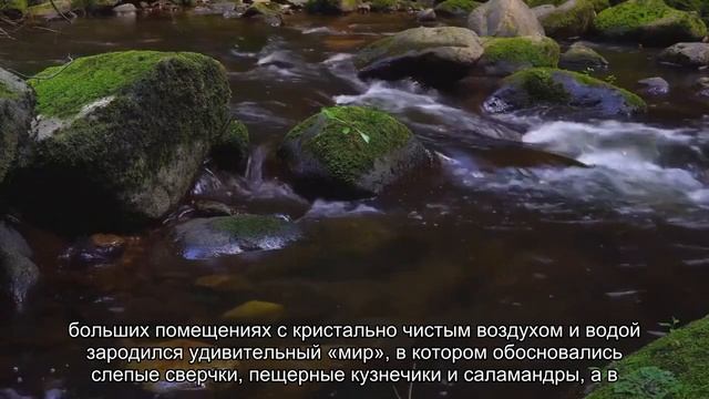 Мамонтова пещера штата Кентукки смотреть онлайн