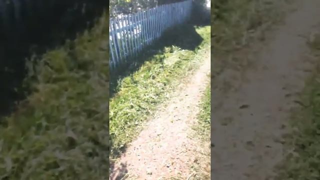 Электротриммер Обзор смотреть онлайн