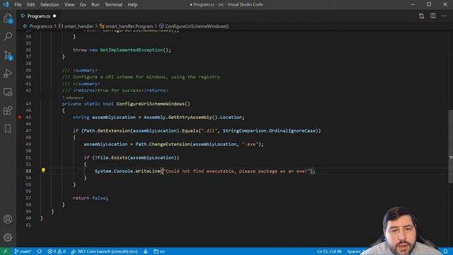 SMART on FHIR - C# with a custom URI scheme. Part 01. смотреть онлайн