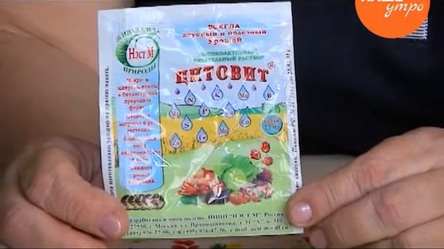 Энергосбережение: практические советы для дома