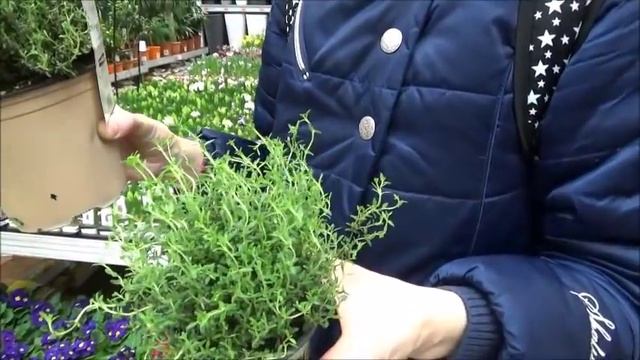 ОВI. Люстры, камины, цветы и многое другое... смотреть онлайн