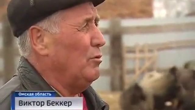 Немцы России смотреть онлайн