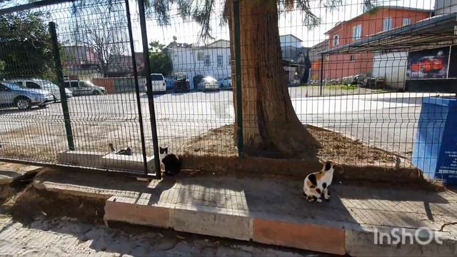 Тарсус/ колодец Апостола Павла/ ворота Клеопатры/ 03/2023/ Турция/ Мерсин #tarsus #mersin #turkey