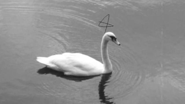 Анна Ахматова "Летний сад" .wmv смотреть онлайн