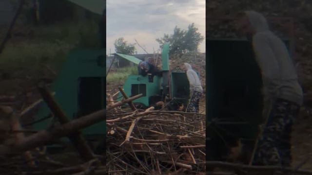 Dinarik-Bystryy-Svoeobrazie-Allozavr