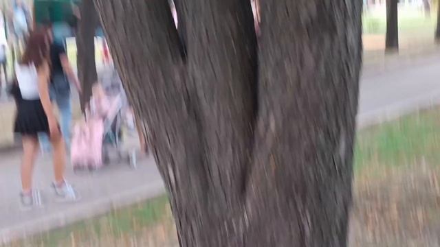 Новый парк в Луганске смотреть онлайн