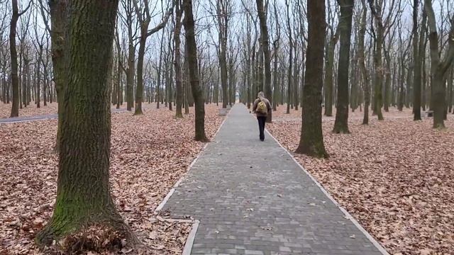 Одесса 30.11. ❌️Огромная очередь. Нет света ? Нет воды. смотреть онлайн