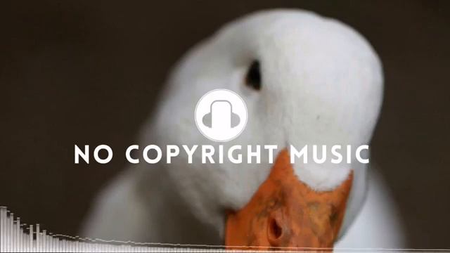 Fluffing a Duck Funny Background Music No Copyright Funny Music For Videos360p смотреть онлайн