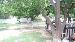 Selcukhan hotel 4* . Территория и пляж.