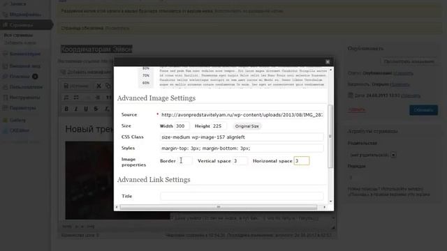 Загрузка изображений на сайт Wordpress , создание статей , оформление страниц смотреть онлайн