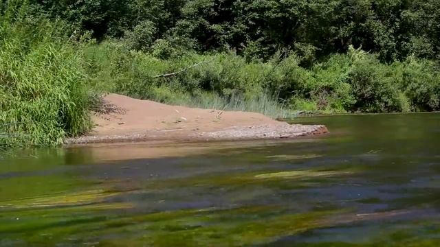 Водный поход.mov смотреть онлайн