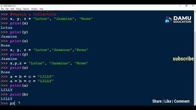 Python in Telugu | Assign One Value, Multiple Values to Multiple Variables & Unpack a Collection смотреть онлайн