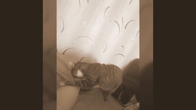 За Грайм 140 BPM смотреть онлайн