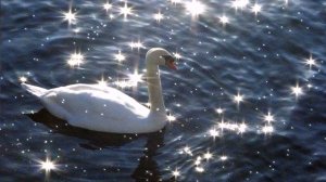 А белый лебедь на пруду. ( кавер от Юрана )