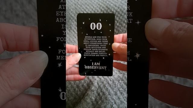 Angel Number Messages #subscribe #collective #oracle #tarotreader смотреть онлайн