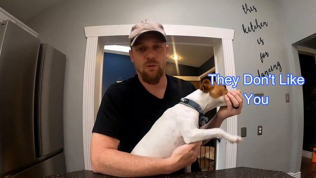 The Dangers Of Fleas and Ticks: Jack Russell Terriers: Preventing & Treating Fleas and Ticks смотреть онлайн