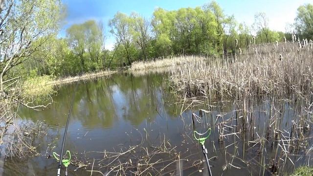 Рыбалка как раньше! Ловля карася на пруду на поплавок смотреть онлайн