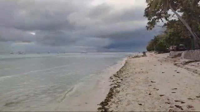 АлексCebu Стрим 5 Марта 2023 смотреть онлайн