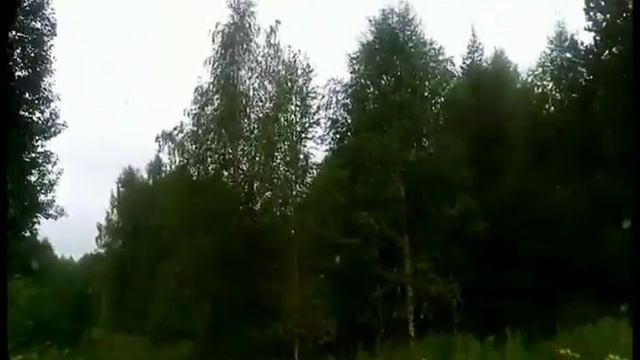 Поездка по ягоды за Говорливый камень 2016 год смотреть онлайн