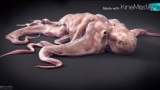 Неизвестные Животные Планеты Земля 166 - Нефтяные Осьминоги смотреть онлайн