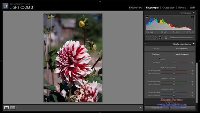 Как провести калибровку фотокамеры в LightRoom смотреть онлайн