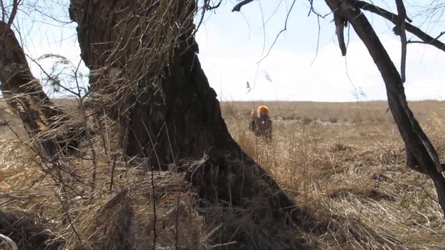 река Клепечиха Алтайский край Шипуновский район смотреть онлайн