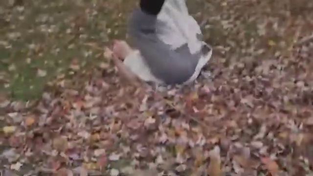 Oedipus the King - 9H Period 5 смотреть онлайн