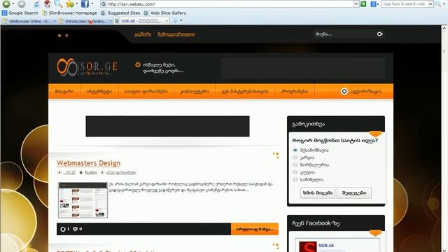 SlimBrowser-ის განხილვა смотреть онлайн