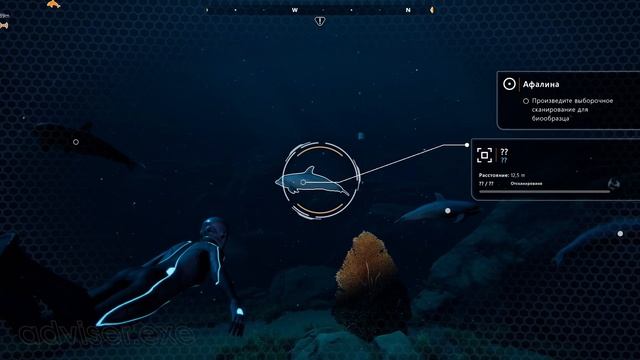 Красиво и бесполезно - обзор игры Beyond Blue [adviser.exe] смотреть онлайн