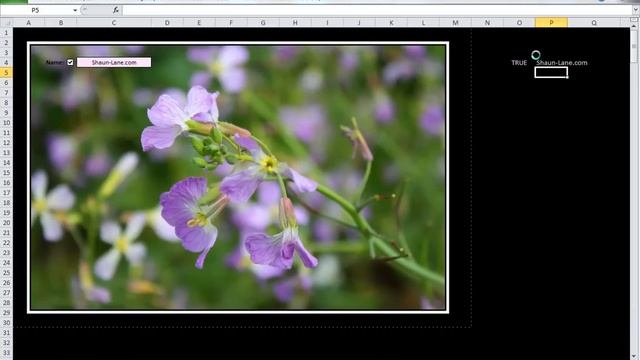 How to Change the Color of Text When You Check a Check Box In Excel 2010 смотреть онлайн