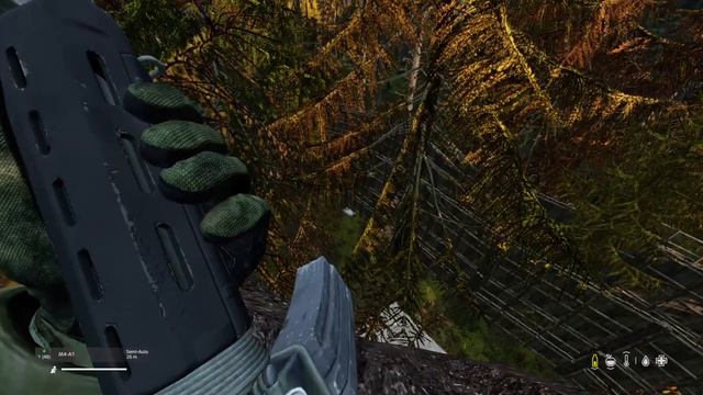 DayZ ewoks in the trees смотреть онлайн